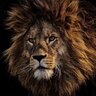 The Lion